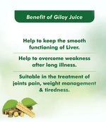 Baidyanath (Jhansi) Giloy Juice
