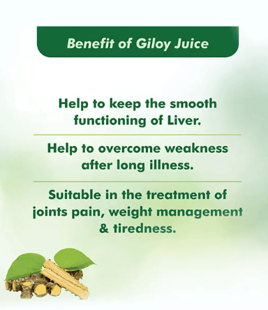 Baidyanath (Jhansi) Giloy Juice
