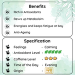 Radhika's Fine Teas Revvs Up Metabolism Lanka Sencha Green Tea (50g) | Single-Origin Whole Leaf Green Tea for Weight Loss, Fat Burn & Sustained Energy