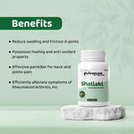 Dr. Satnam’s Arogyam Ayurveda Shallaki Tablets (500mg, 60 Tablets) | Pure Boswellia Serrata Extract for Joint Health, Anti-Inflammatory Support & Cartilage Care