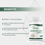 Dr. Satnam’s Arogyam Ayurveda Shatavari Tablets (500mg, 60 Tablets) | Pure Adaptogenic Shatavari Extract for Hormonal Balance, Lactation & Female Vitality