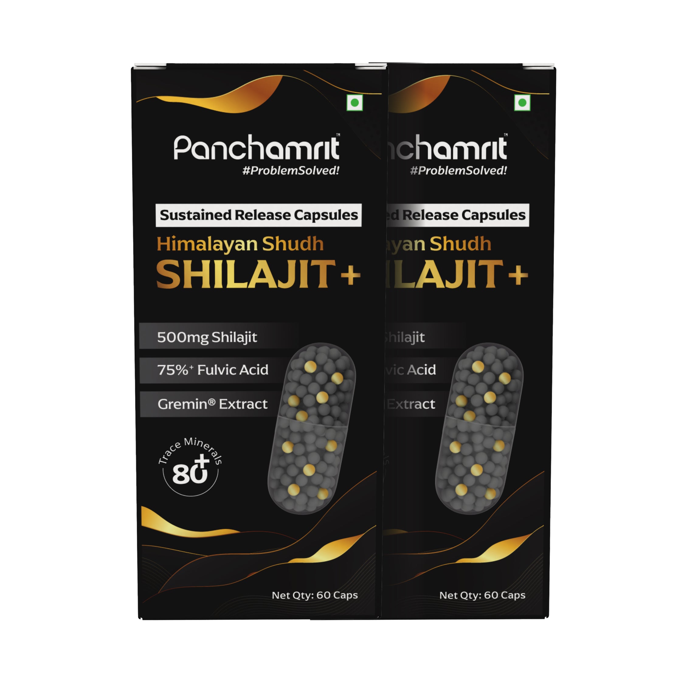 Panchamrit Himalayan Shudh Shilajit Capsules-  8 hrs Sustained Release - 500mg Himalayan Shilajit+ with Gremin® Extract,75% Fulvic Acid,80+ Trace Minerals| 2.5x More Shilajit | Daily Energy Boost, Faster Muscle Recovery