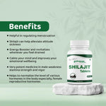 Arogyam Shilajit 500mg Tablet (60 Each)