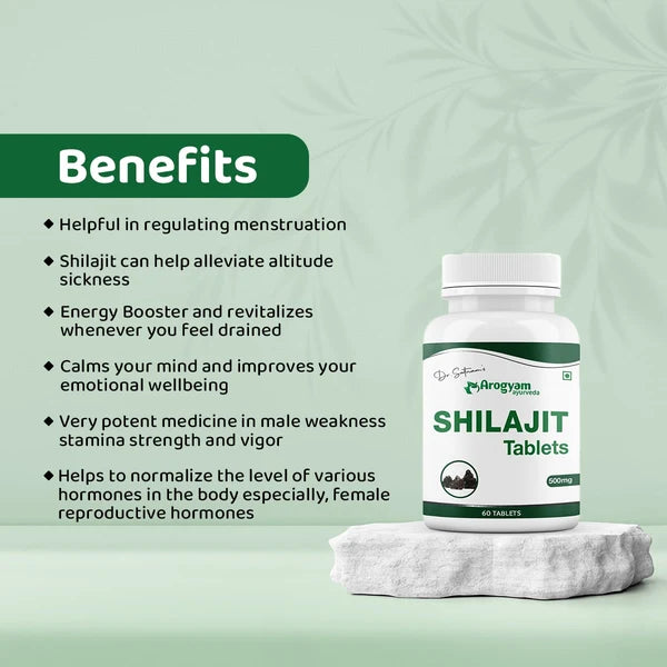 Arogyam Shilajit 500mg Tablet (60 Each)