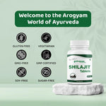 Arogyam Shilajit 500mg Tablet (60 Each)