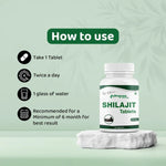 Arogyam Shilajit 500mg Tablet (60 Each)