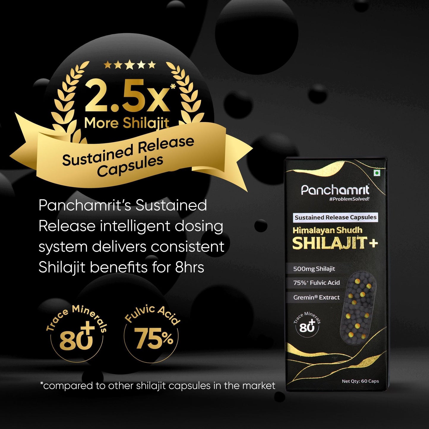 Panchamrit Himalayan Shudh Shilajit Capsules - Sustained Release