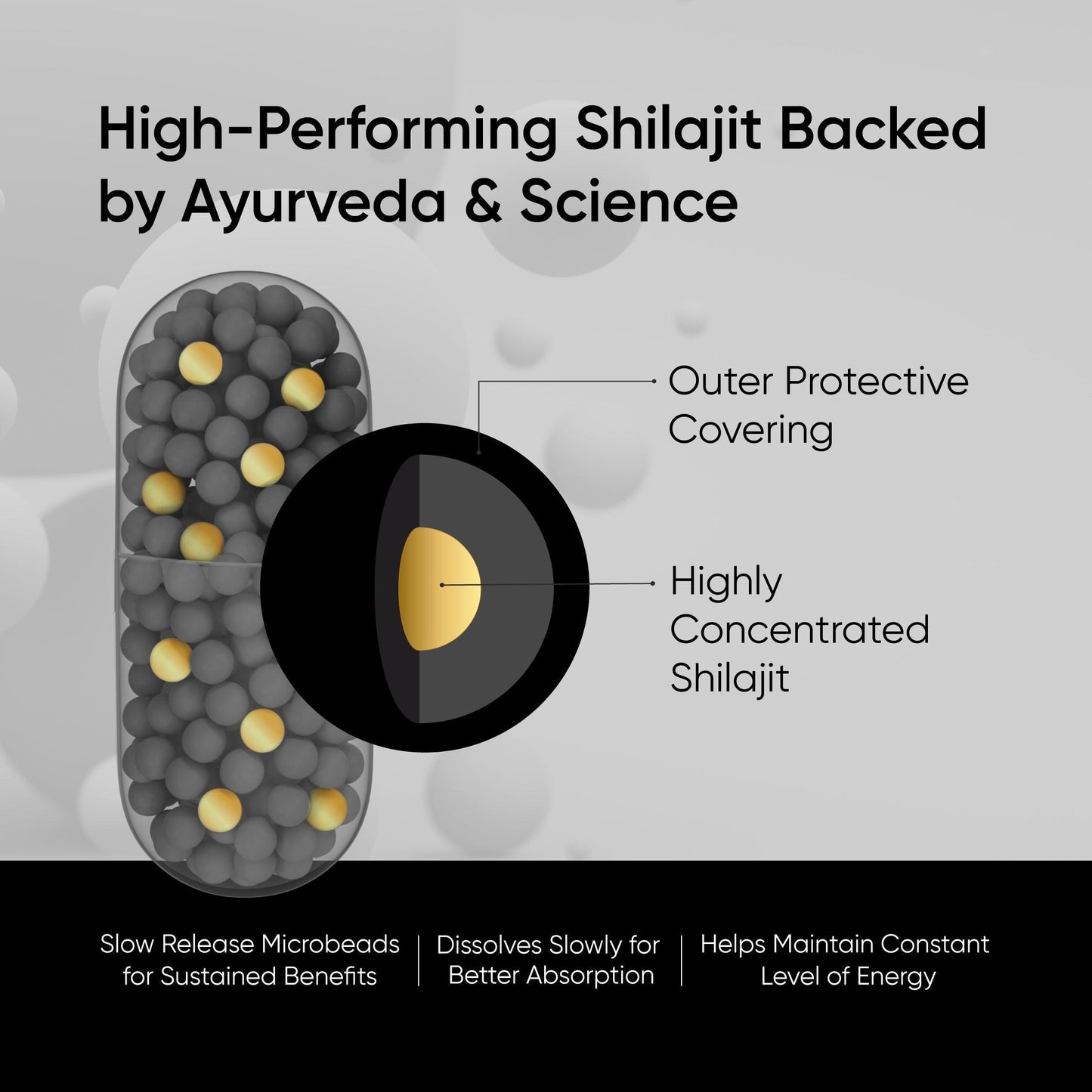 Panchamrit Himalayan Shudh Shilajit Capsules - Sustained Release