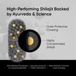 Panchamrit Himalayan Shudh Shilajit Capsules - Sustained Release