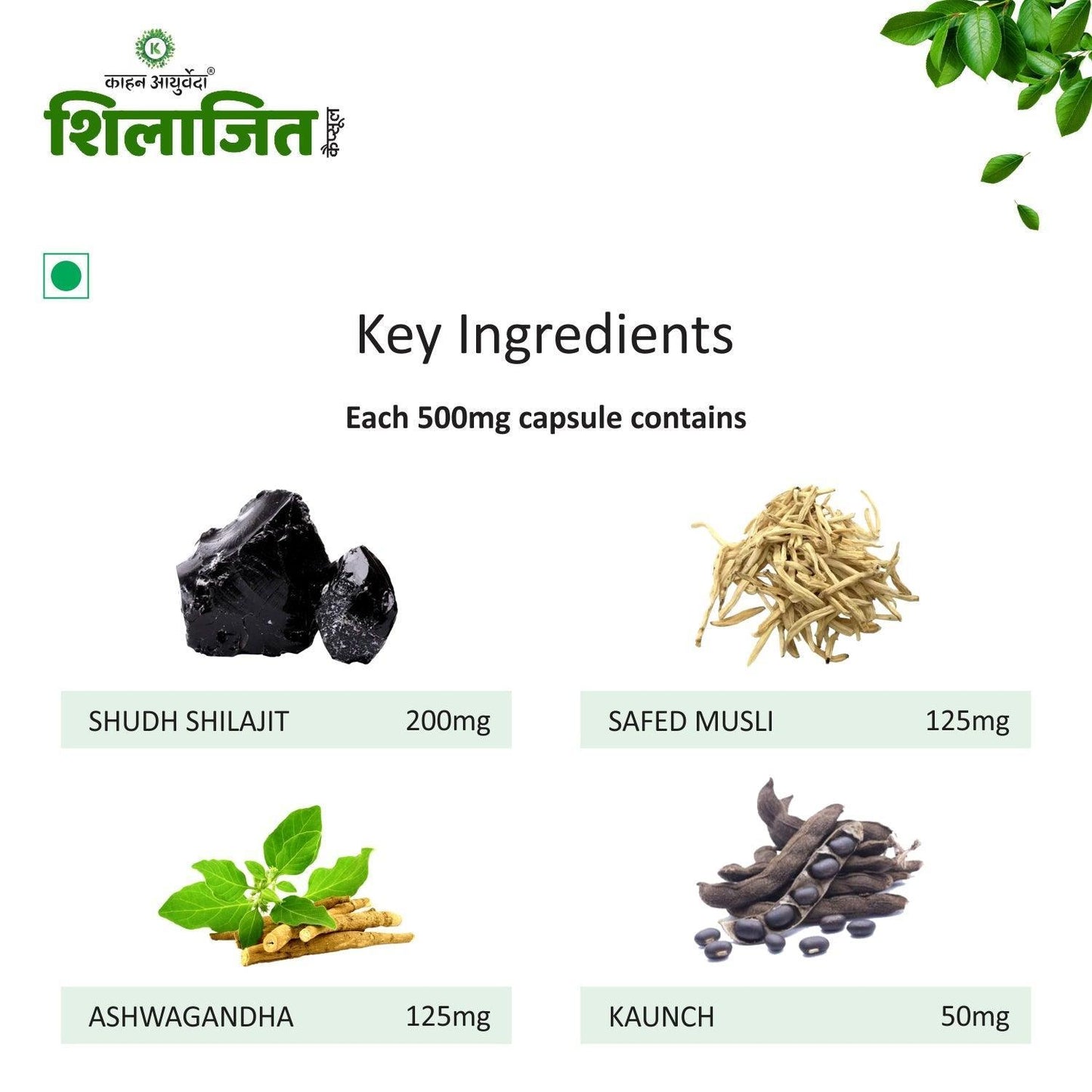 Kaahan Ayurveda Shilajit Capsule - 60 Caps