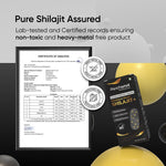 Panchamrit Himalayan Shudh Shilajit Capsules - Sustained Release