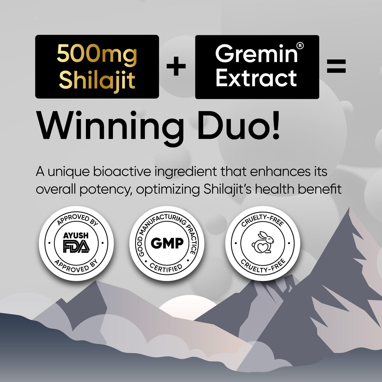 Panchamrit Himalayan Shudh Shilajit Capsules - Sustained Release