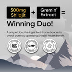 Panchamrit Himalayan Shudh Shilajit Capsules - Sustained Release