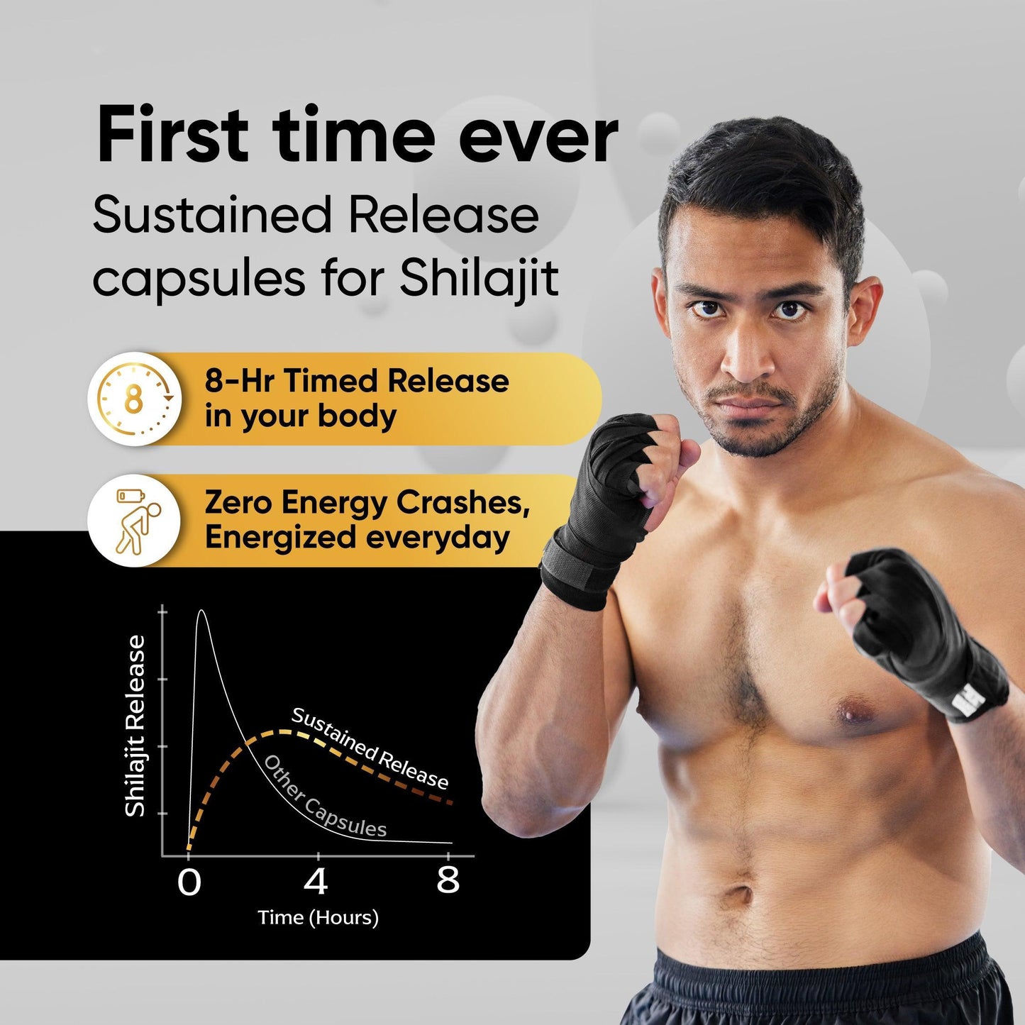Panchamrit Himalayan Shudh Shilajit Capsules - Sustained Release