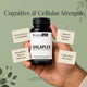 Ikvana SHILAPLEX Strength, Stamina & Physical Vitality Support by Earthy Concepts - Shilajit Resin Extract with Ashwagandha & Trikatu - 60 Veggie Capsules