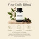Ikvana SHILAPLEX Strength, Stamina & Physical Vitality Support by Earthy Concepts - Shilajit Resin Extract with Ashwagandha & Trikatu - 60 Veggie Capsules