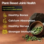 Health Veda Organics Calcium Magnesium Zinc