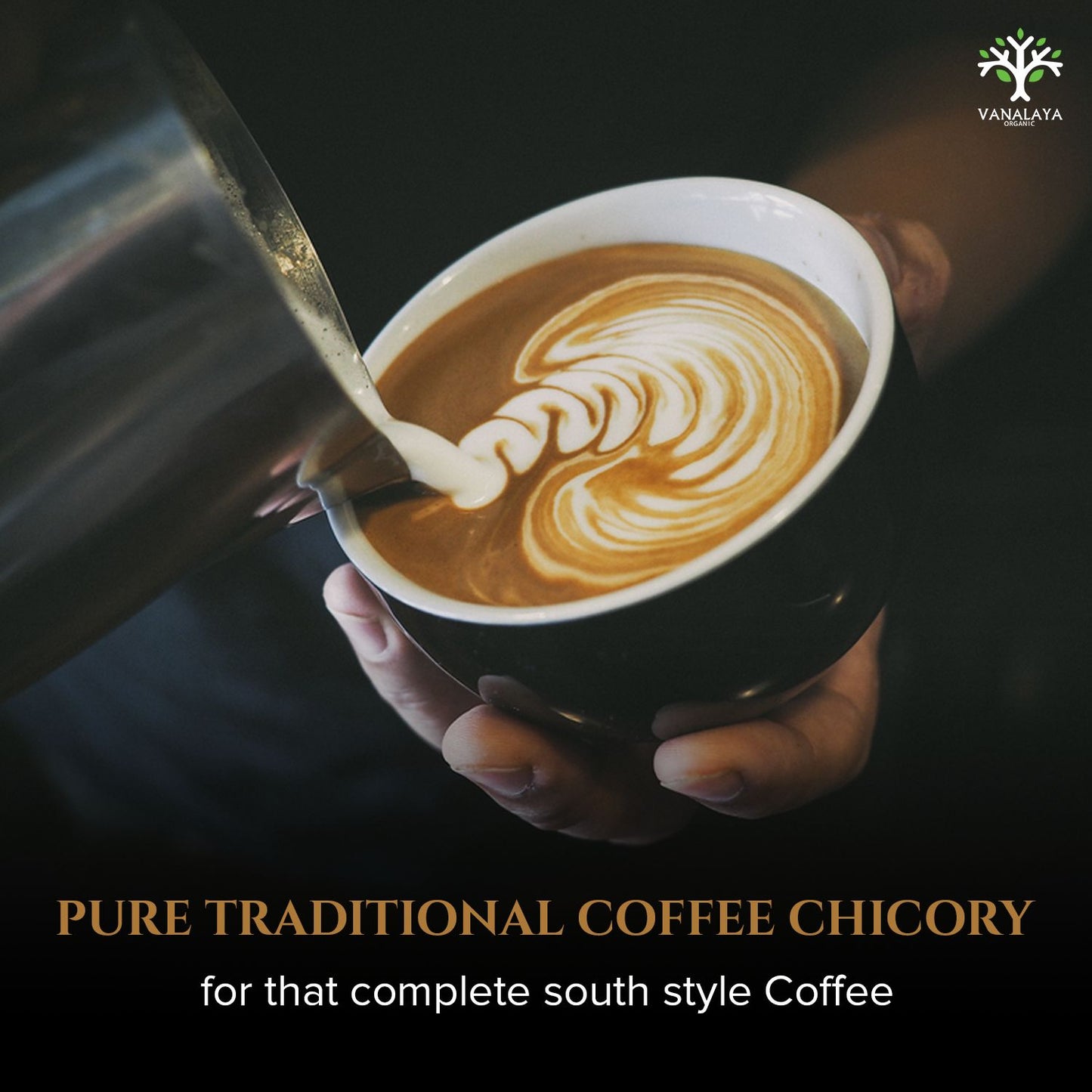 Vanalaya Southern Classic Instant Coffee 70% Arabica & 30% chicory Coffee - 50gm