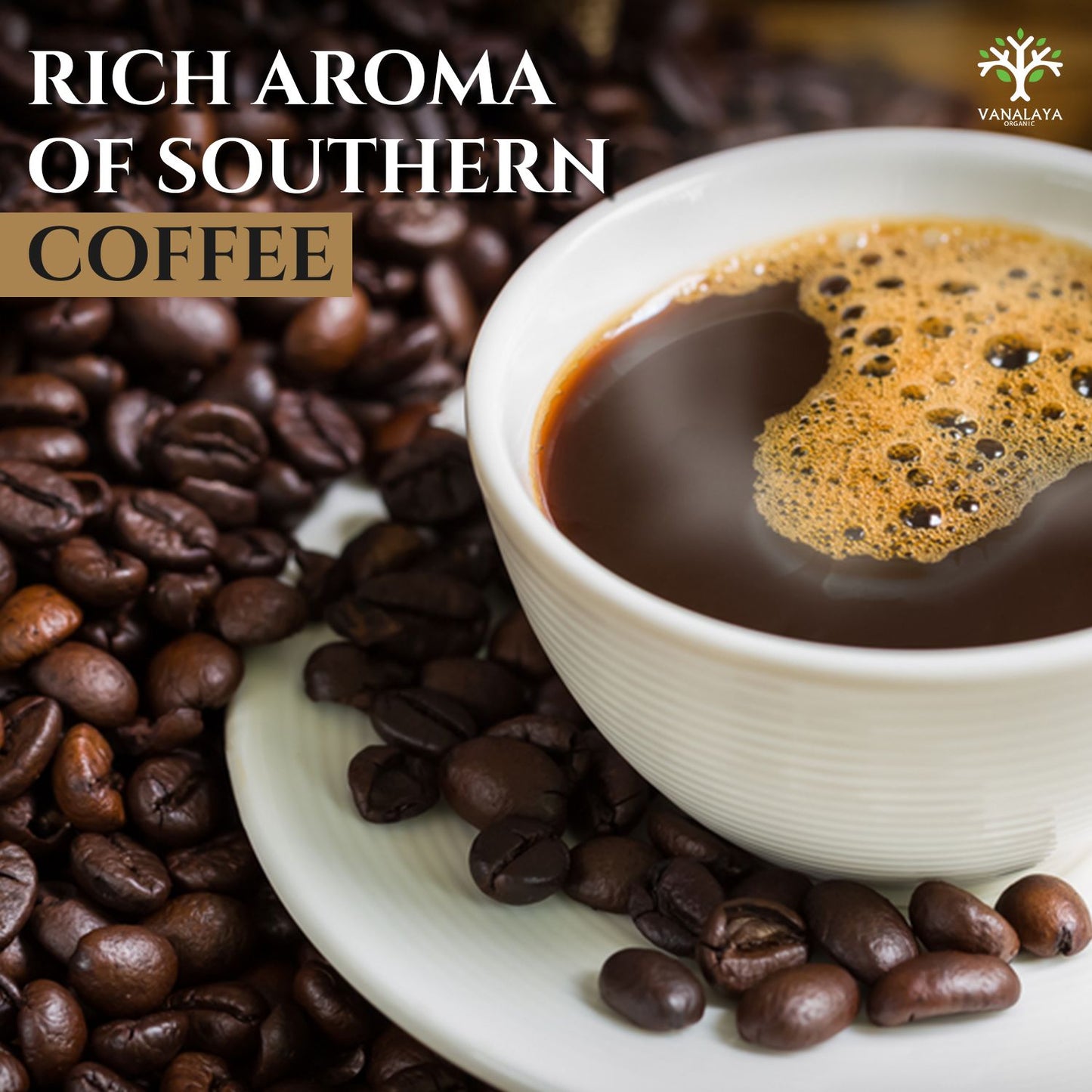 Vanalaya Southern Classic Instant Coffee 70% Arabica & 30% chicory Coffee - 50gm