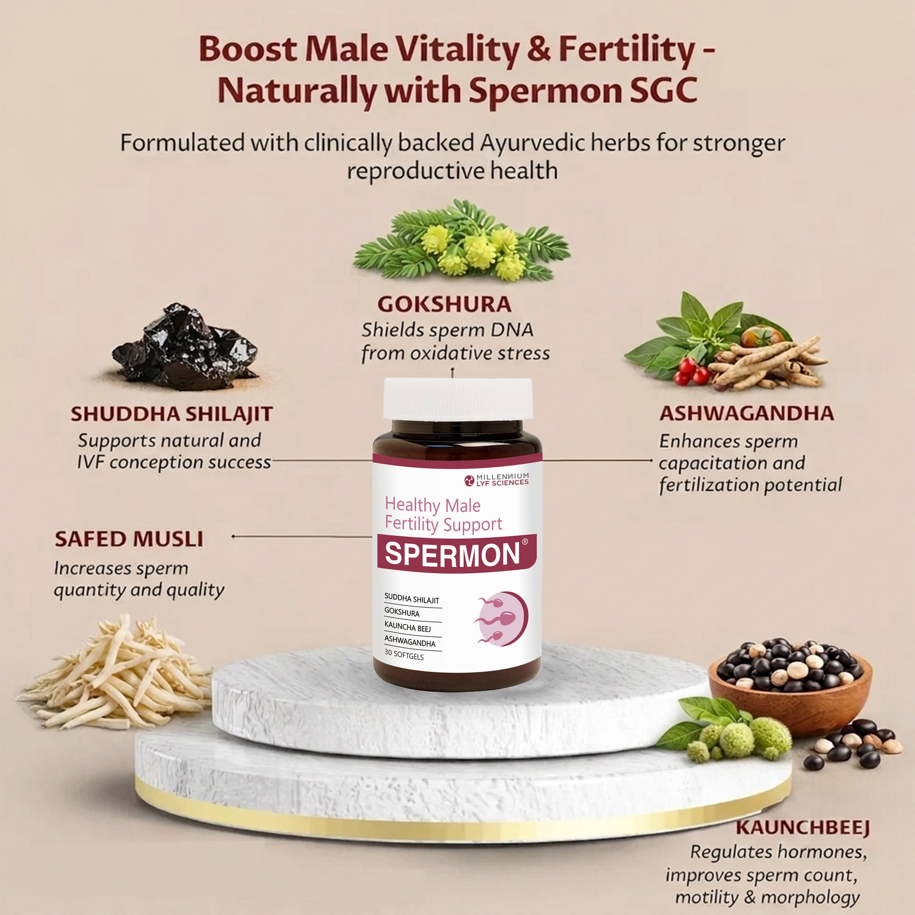 Millennium Herbal Care Spermon Soft Gelatin Capsule (60 Each) | Supports Men's Health (Bottle Pack)