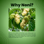 The Dave's Noni Sugar Control Drops (30ml Each)