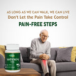 Swadeshi Tryodashang Guggul Tablets - 60 Tablets