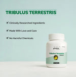 Dr. Satnam's Arogyam Ayurveda Tribulus Terrestris Gokshur 500mg Capsule (60 Each)