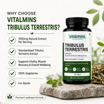 Vitalmins Tribulus Terrestris Tablets | Standardized Extract for Peak Athletic Performance, Physical Strength & Daily Vitality – 60 Tablets