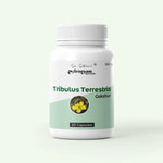 Dr. Satnam's Arogyam Ayurveda Tribulus Terrestris Gokshur 500mg Capsule (60 Each)