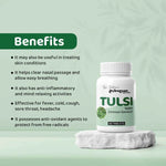 Dr. Satnam's Arogyam Ayurveda Tulsi Tablet (60 Each)
