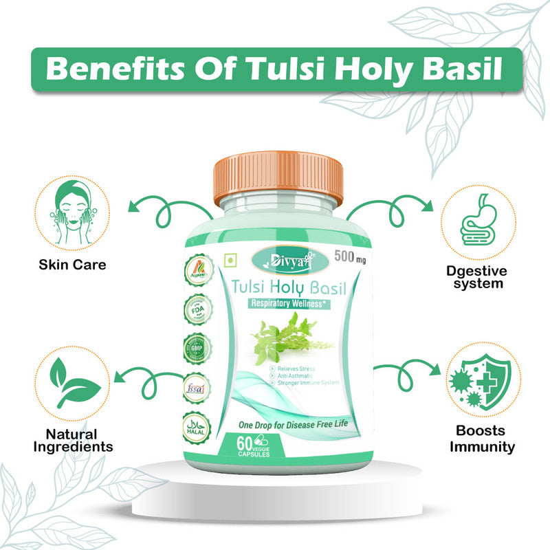 Divya Shree Tulsi Holy Basil Support Immune System & Digestive Function, Pure Tulsi Extract - 60 Capsule, Jeevan Care Ayurveda