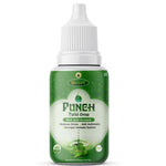 Divya Shree Tulsi Drop Immunity and Energy Booster | Strengthen and Stamina Support Digestive System Protects Liver Function 30ml Jeevan Care Ayurveda 