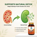 Organic Wellness Uric Balance for Controls High Uric Acid || Joint Pain Problems || Kidney Health Support || Cleanses Uric Acid (90 N Veg Capsules)