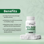 Arogyam Joint & Metabolic Wellness Combo – Ayurvedic Support for Uric Acid, Joint & Metabolic Wellness – 60 Tablets + 60 Tablets