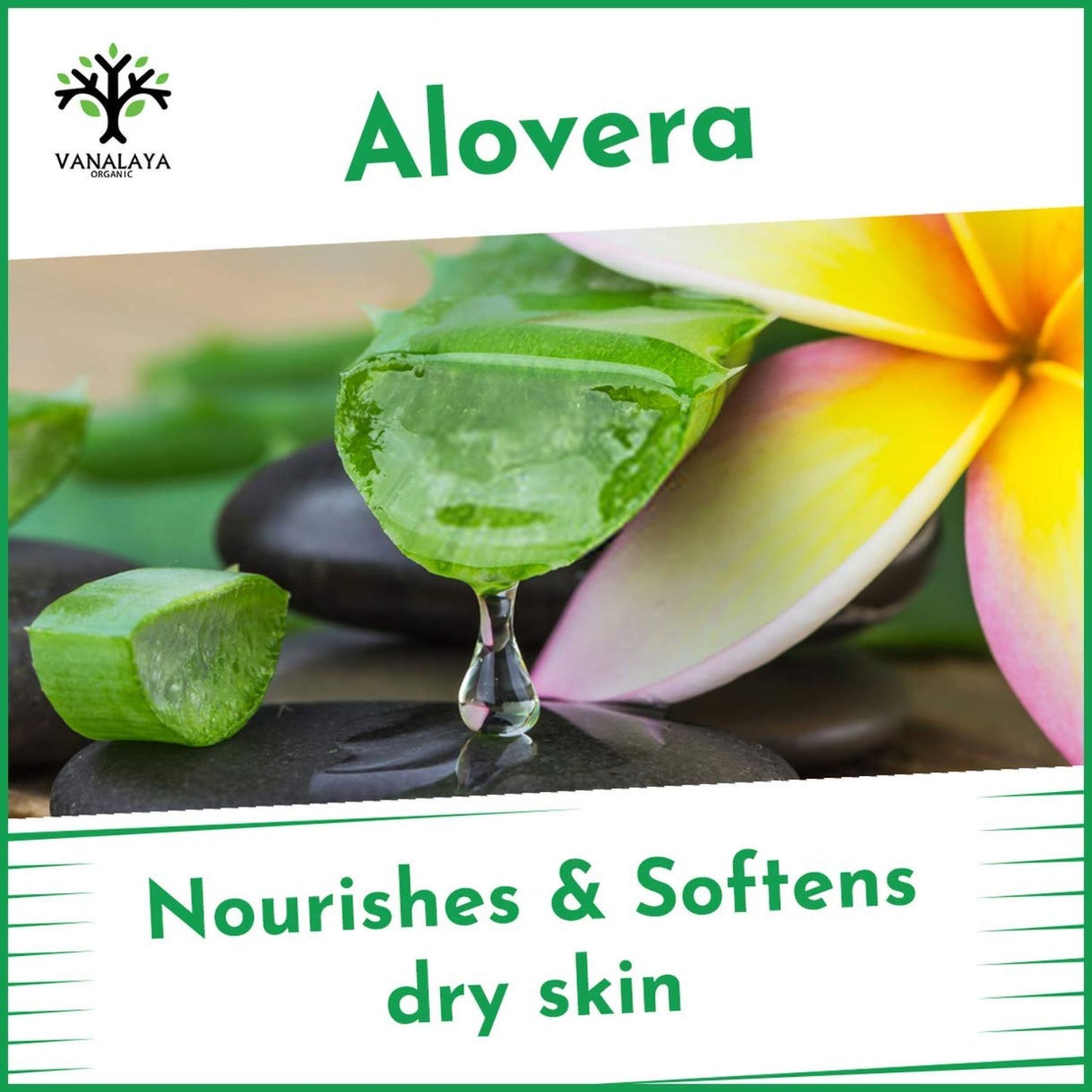 Vanalaya Aloe Vera body lotion - 300ml