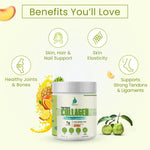 Vedapure Naturals Plant Based Vegan Collagen Builder - Skin Radiance Powder (210g)