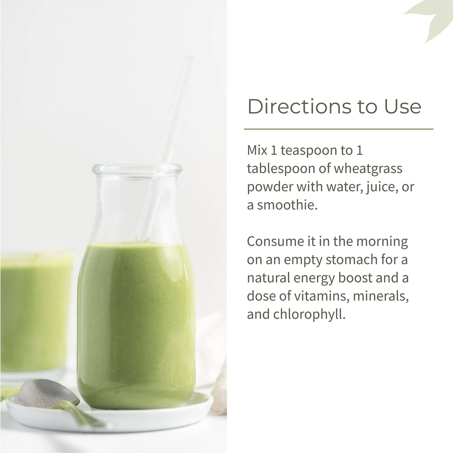 Ecotyl Wheatgrass Powder - 100gm