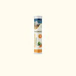 WellWith Sea Buckthorn + Moringa Effervescent Tablets (15 Tablets)
