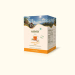 WellWith Sea Buckthorn Super Fruit Tea (20 Infusion Tea Bags, 2g Each)