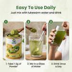 Organic Wellness Giloy Powder - 100 gm
