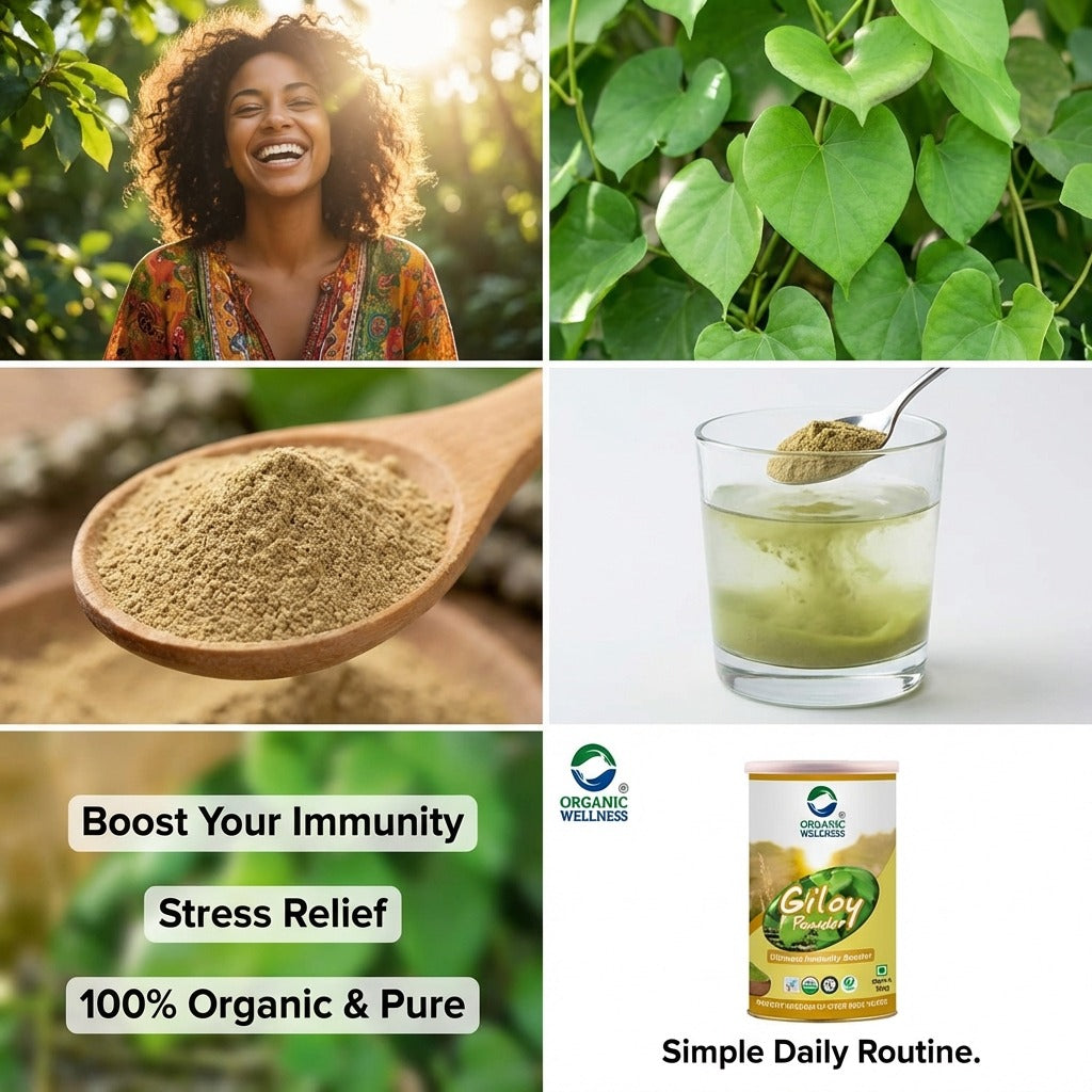 Organic Wellness Giloy Powder - 100 gm