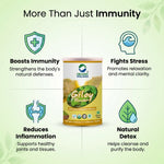 Organic Wellness Giloy Powder - 100 gm