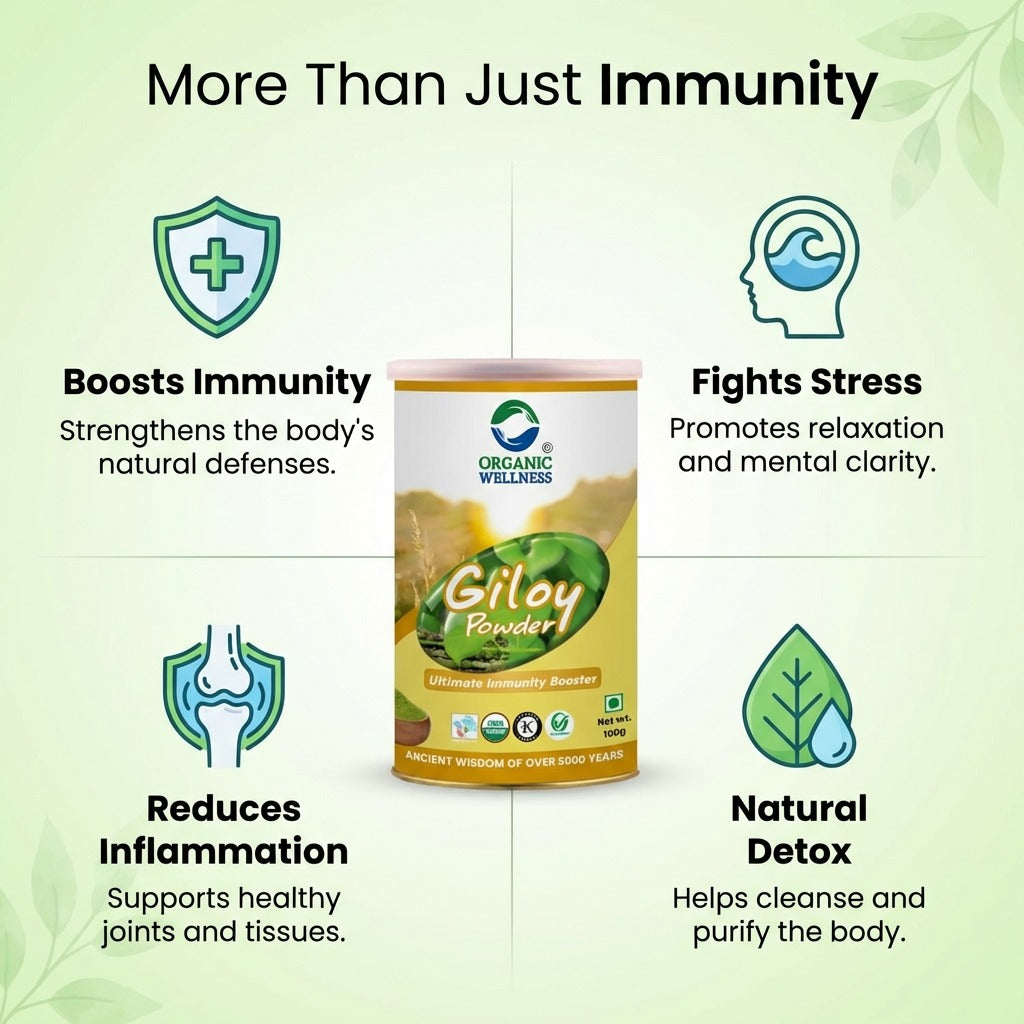 Organic Wellness Giloy Powder - 100 gm