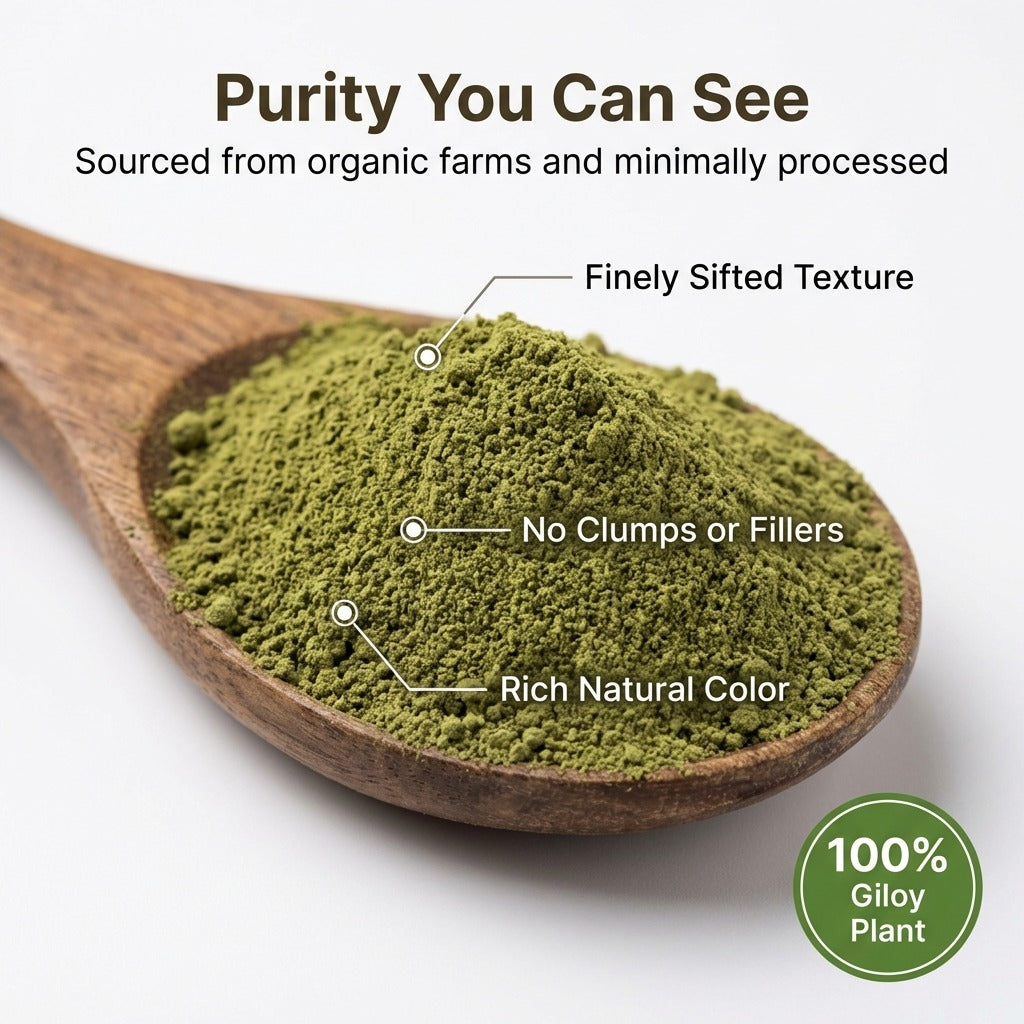 Organic Wellness Giloy Powder - 100 gm