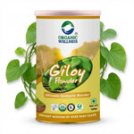 Organic Wellness Giloy Powder - 100 gm