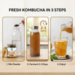 Organic Wellness Indian Kombucha 100 Gram Bottle
