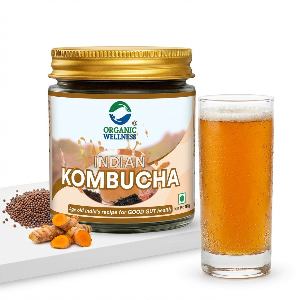 Organic Wellness Indian Kombucha 100 Gram Bottle