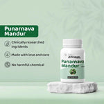 Dr. Satnam's Arogyam Ayurveda Punarnava Mandur Tablet (60 Each)