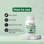 Dr. Satnam's Arogyam Ayurveda Punarnava Mandur Tablet (60 Each)