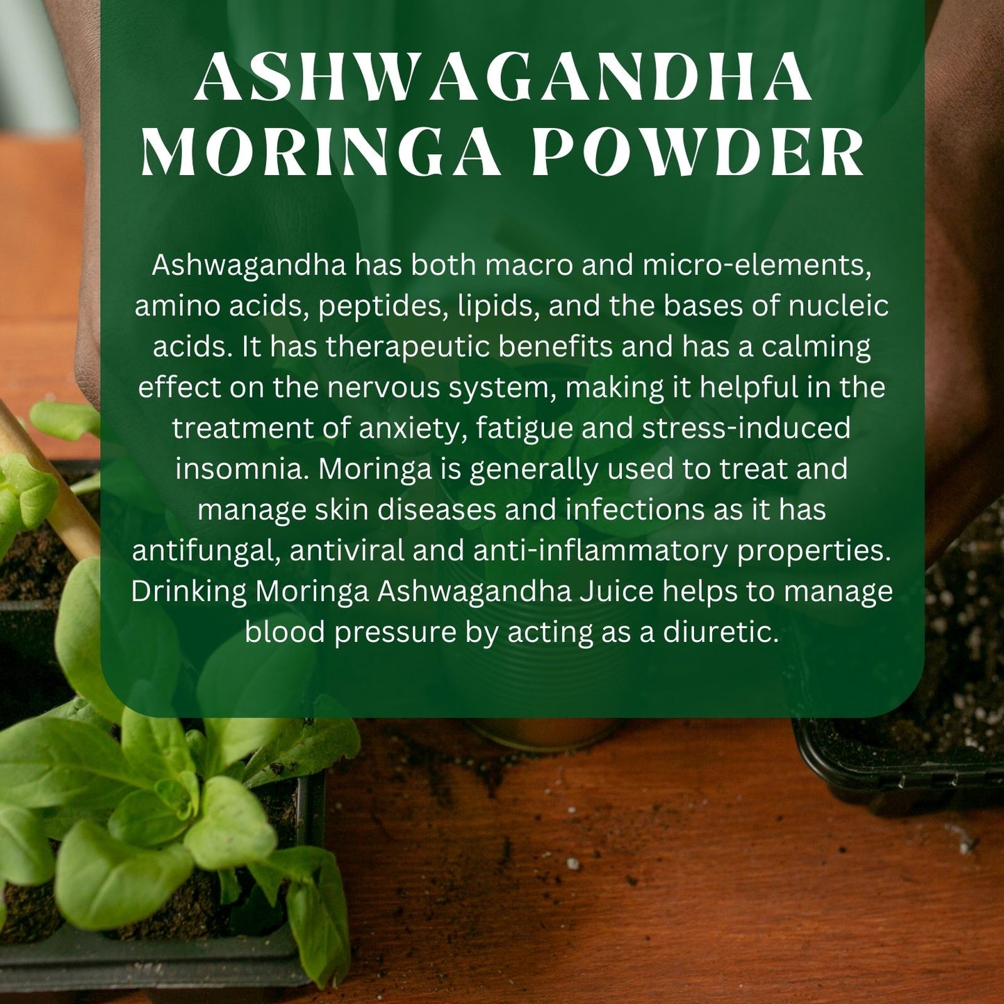 Zaynura Ayurveda Moringa Powder